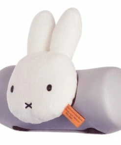 Coussin De Siège Avant Bébé Thule Yepp Mini